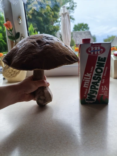 Miniatura