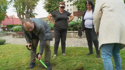 Wiosna pełna kolorów w Pucku