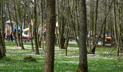 fot. Leszek Spigarski