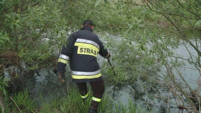 Wejherowo: Strażacy szukają topielca