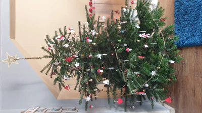 20201220_121403.jpg