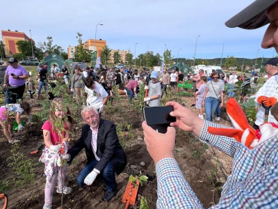Miniatura