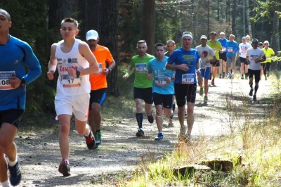 Bohaterowie VIII Biegu Piaśnickiego 2016 fot. Leszek Spigarski