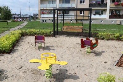 Miniatura