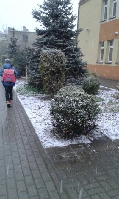 Zima wróciła na Pomorze fot. czytelnicy