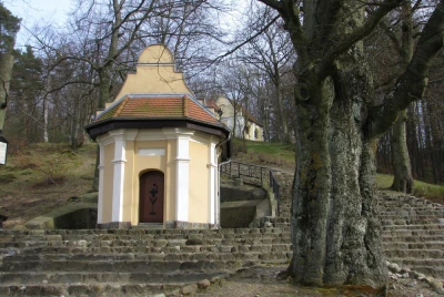 fot. Leszek Spigarski