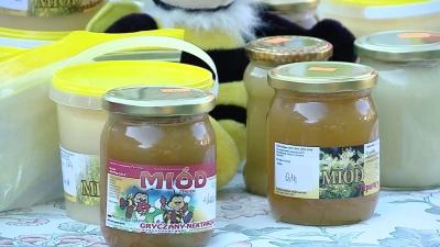 Dzień Chleba i Miodu w Nadolu 2013