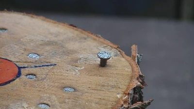 Żelistrzewo: Mistrzostwa we wbijaniu gwoździ