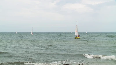 vlcsnap-2019-08-13-15h34m16s317.png