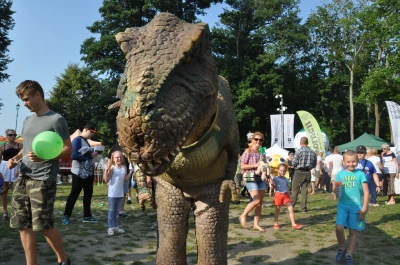 DSC_0958.JPG