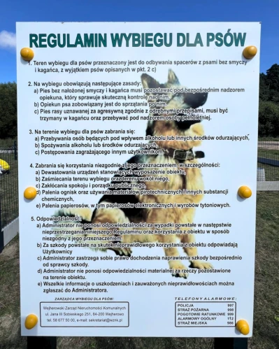 fot. Wiktoria Łaga