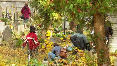 Miniatura