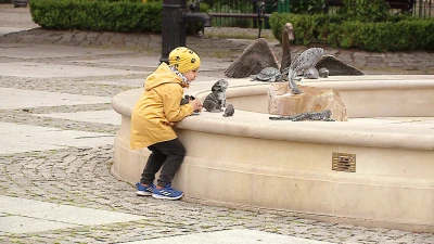 Miniatura