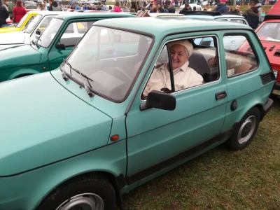 Miniatura