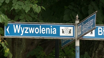Pijany kierowca uderzył w drzewo