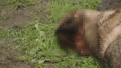 Wejherowo: Chciał ulżyć w cierpieniu, a zadał katusze