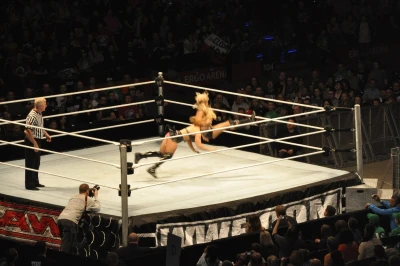 Wrestling - wszystkie chwyty dozwolone