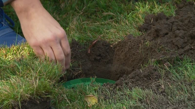 Wiosna pełna kolorów w Pucku
