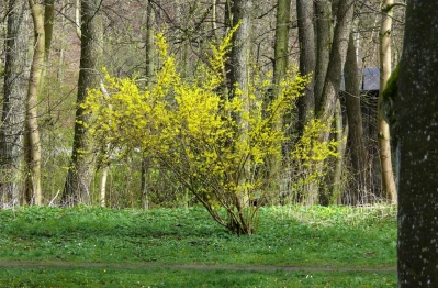 fot. Leszek Spigarski