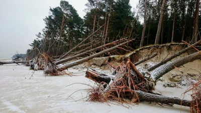 Dębki - fot. Ewelina Efkau