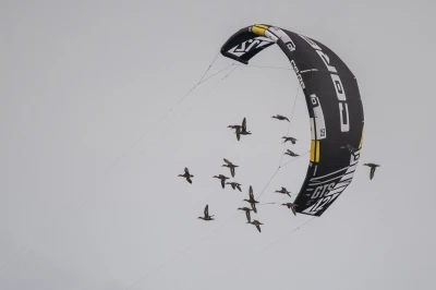Puchar i Mistrzostwa Polski w kitesurfingu i wingfoilu w Pucku