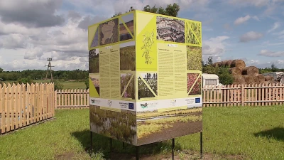 Miniatura