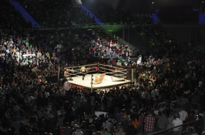 Wrestling - wszystkie chwyty dozwolone
