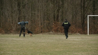 Ćwiczenia policji na stadionie Gryfa Orlex