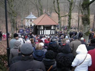 fot. Leszek Spigarski