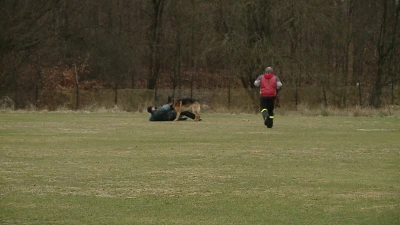 Ćwiczenia policji na stadionie Gryfa Orlex