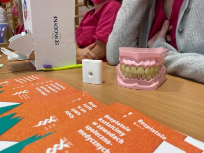 Powiatowy Dzień Promocji Zdrowego Stylu Życia w 