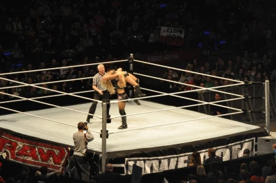 Wrestling - wszystkie chwyty dozwolone