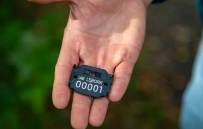 Drzewa dostają swoje numery. Park Chrobrego przygotowuje się do zmian