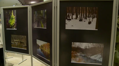 Fotografia Przyrodnicza - wernisaż
