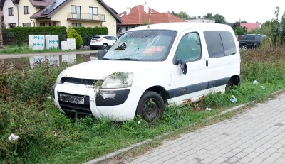 Miniatura