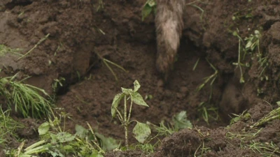 Wejherowo: Chciał ulżyć w cierpieniu, a zadał katusze