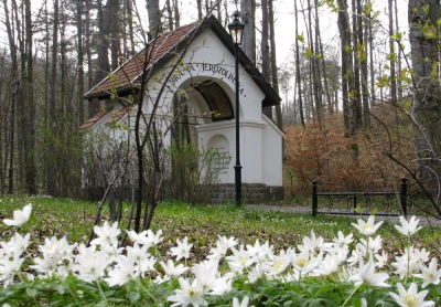 fot. Leszek Spigarski