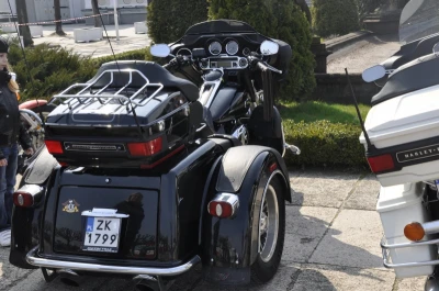 Motoserca w Sopocie