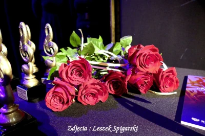 fot. Leszek Spigarski