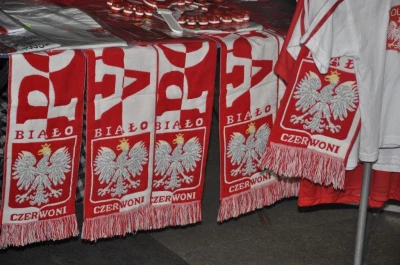 Liga Światowa 2011: Rosja za silna dla Polaków