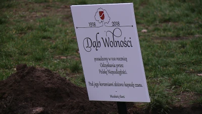 Daniel Zaputowicz/TTM