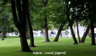 fot. Leszek Spigarski