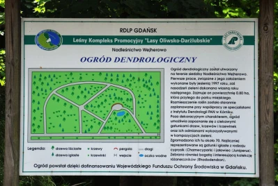 Festyn Leśny 2016 w Nadleśnictwie Wejherowo (fot. Leszek Spigarski)