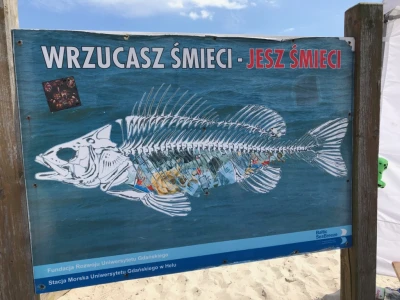 Dzień Ryby w Helu 2017 - fot. TTM