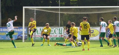 Gryf Wejherowo - Warta Poznań  0 : 1 na Wzgórzu Wolności. Fot. Leszek Spigarski.