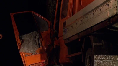 Auto dostawcze uderzyło w drzewo