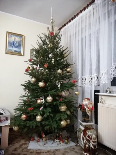 IMG_20201222_205133.jpg