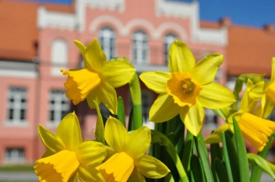 Wielkanocny Pałac foto. Anna Tarnowska