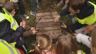 Jeżostrefy w Wejherowie - warsztaty dla dzieci