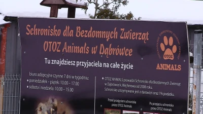 Akcja karma dla schroniska w zamian za koc